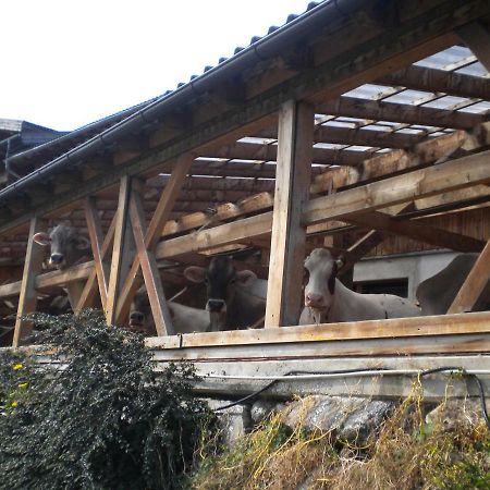 Vila Weberhof Trins Exteriér fotografie