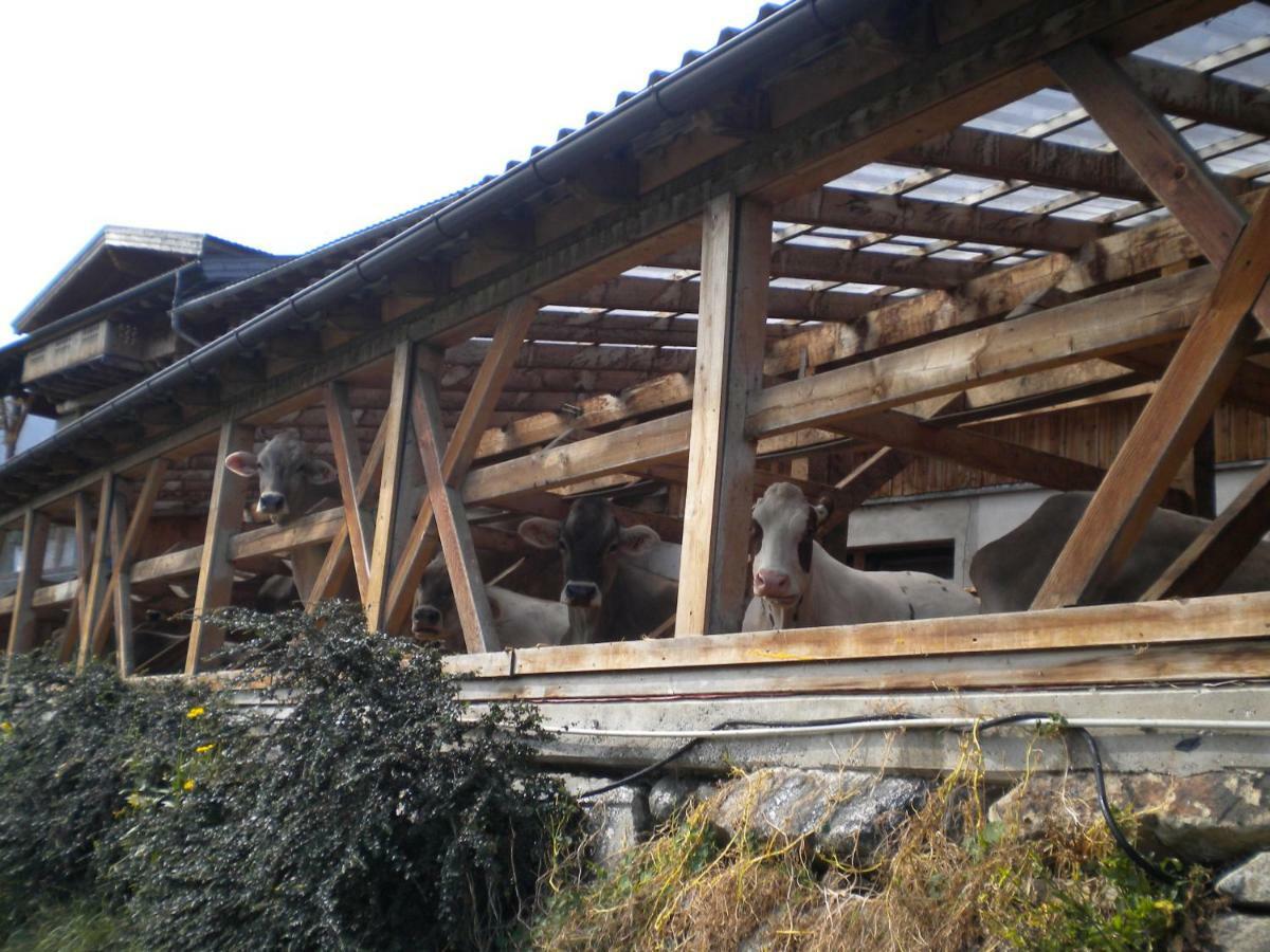 Vila Weberhof Trins Exteriér fotografie